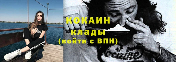 амф Вуктыл