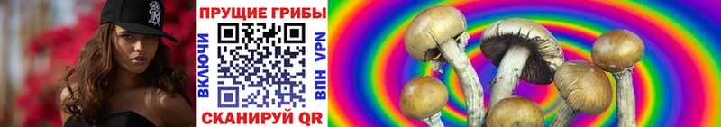 Псилоцибиновые грибы ЛСД  Уварово 