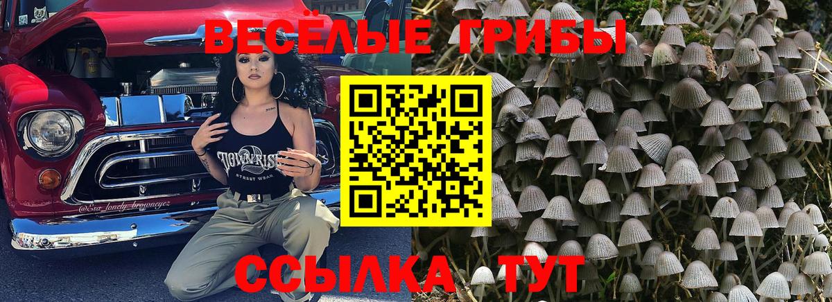 Псилоцибиновые грибы мицелий  Вход с VPN  Уварово 
